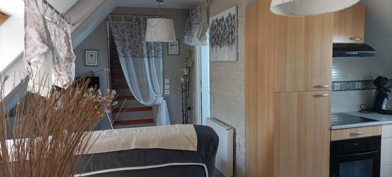 Apartamento Le Cosy Lanvallay Exterior foto